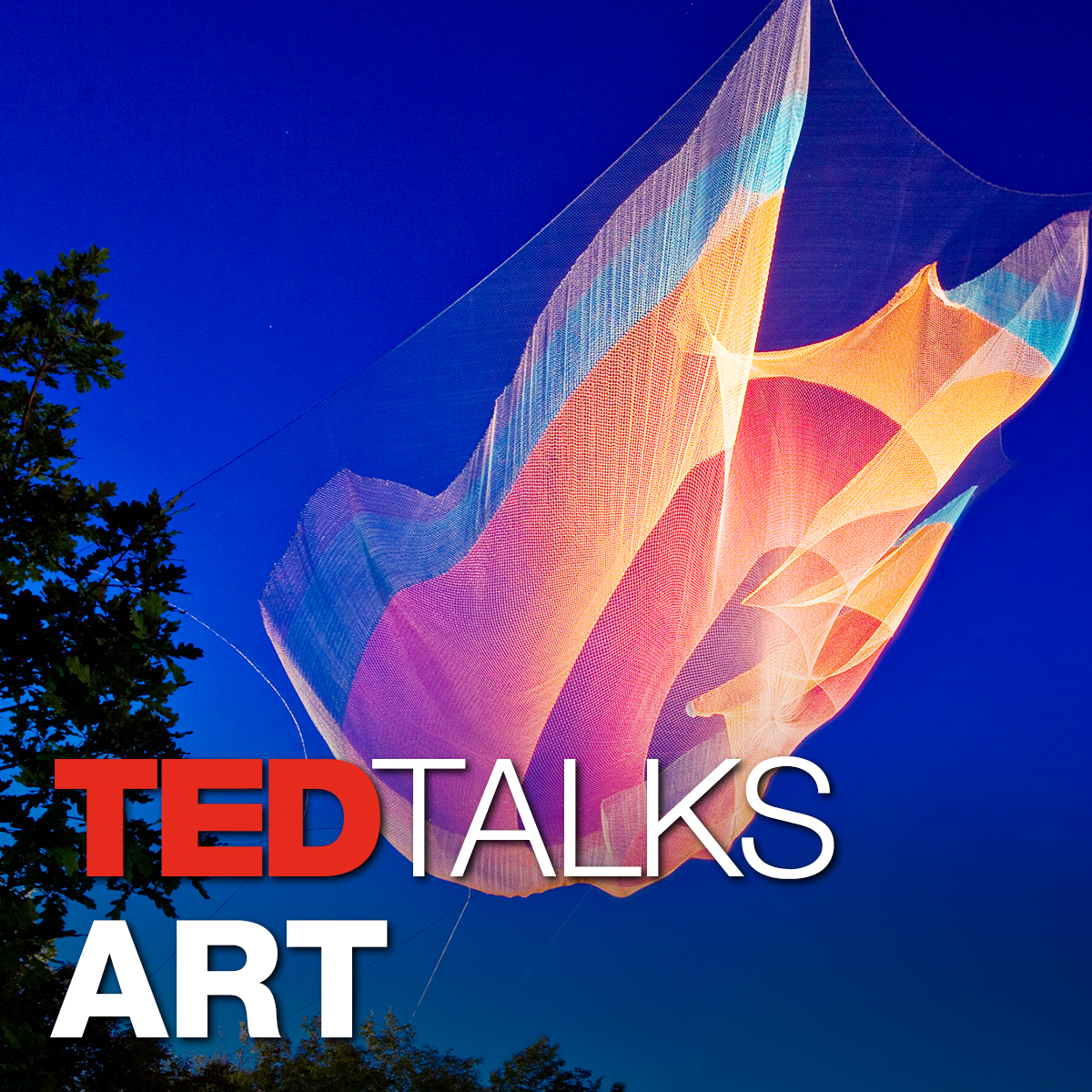 TEDTalks Art