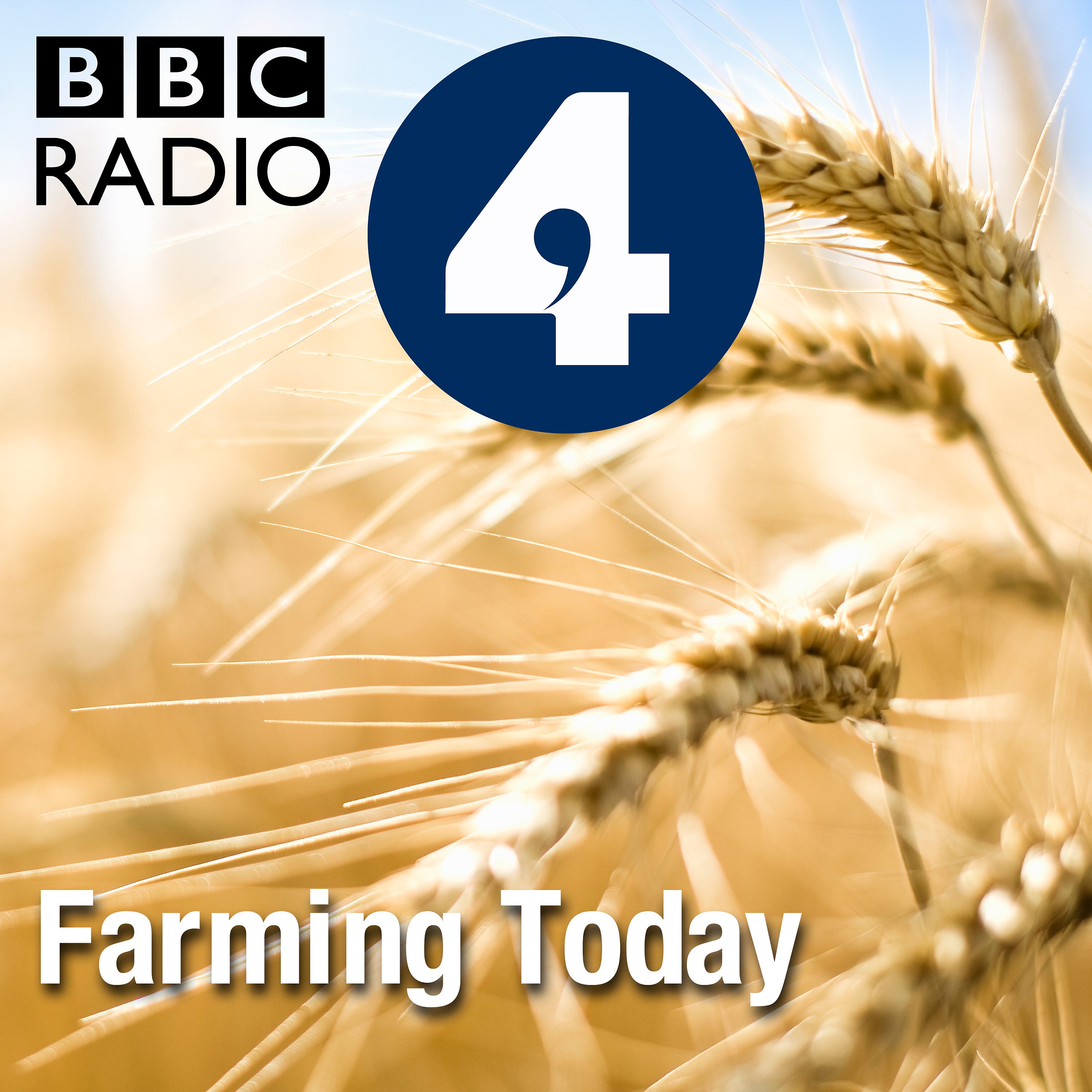 Farming Today