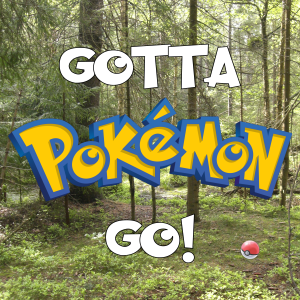 Gotta Pokémon Go