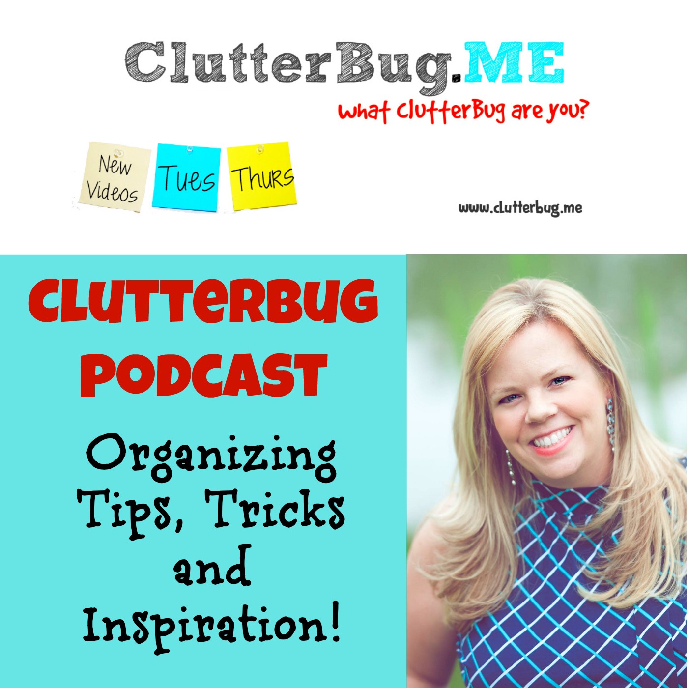 ClutterBug Organizing Tips, Tricks and Inspiration to Transform your Home on a Budget