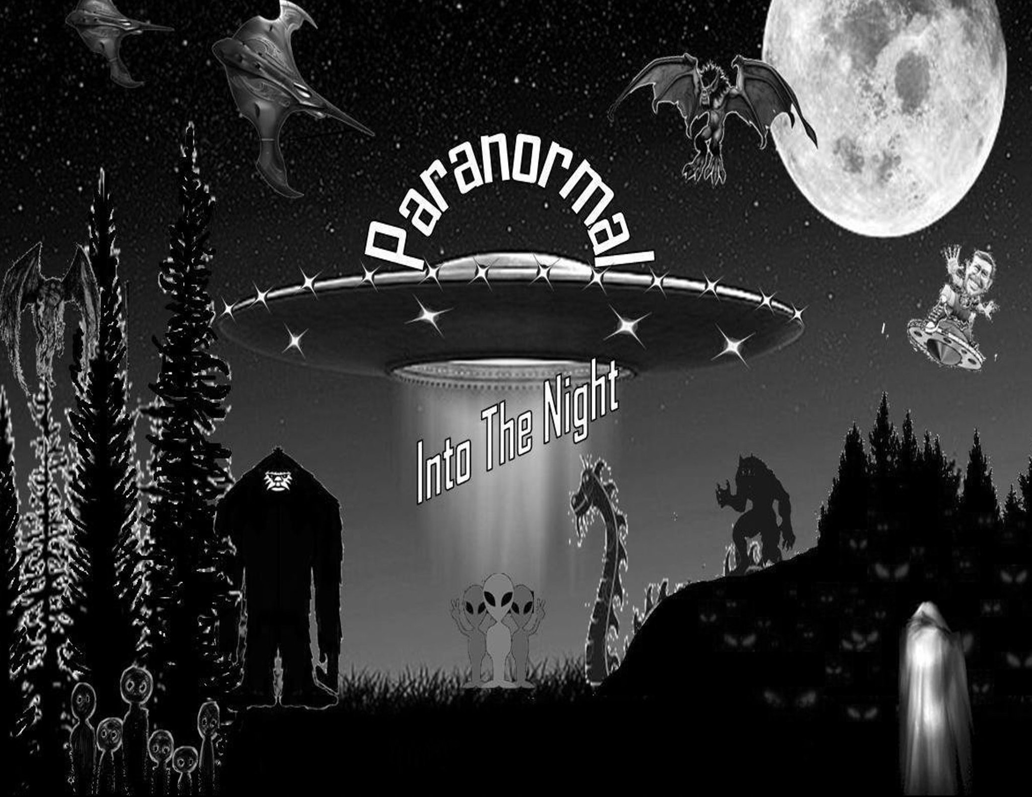 Paranormal Into The Night