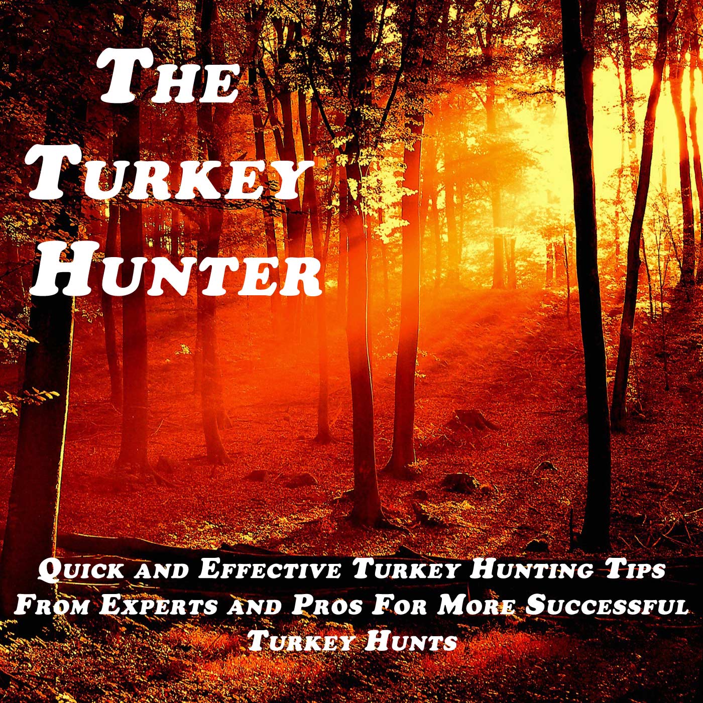 The Turkey Hunter Podcast with Andy Gagliano | Turkey Hunting Tips, Strategies, and Stories