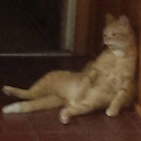 chrishouse83
