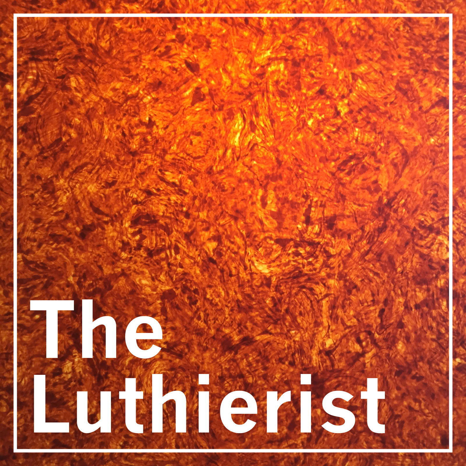 The Luthierist