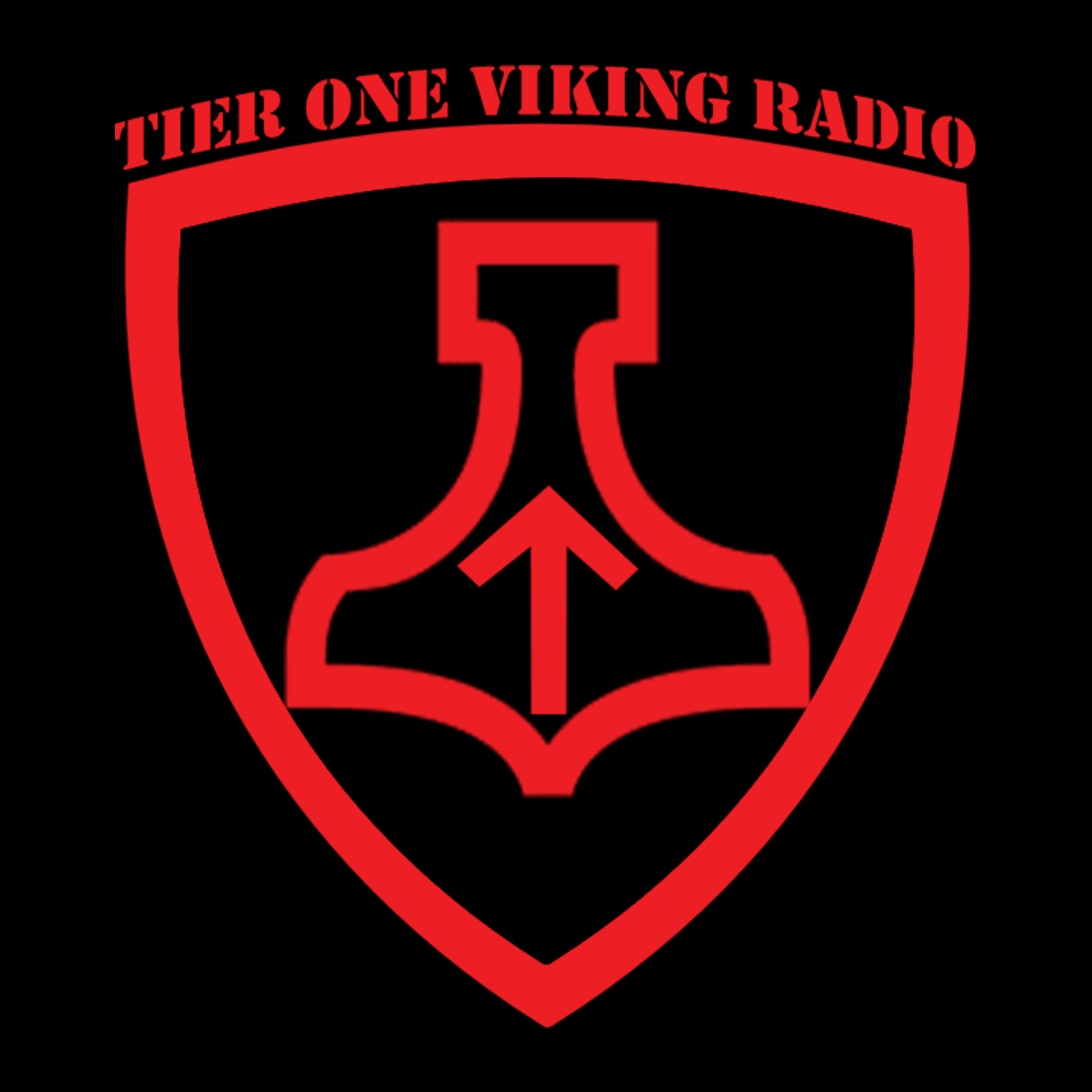 Tier One Viking Radio