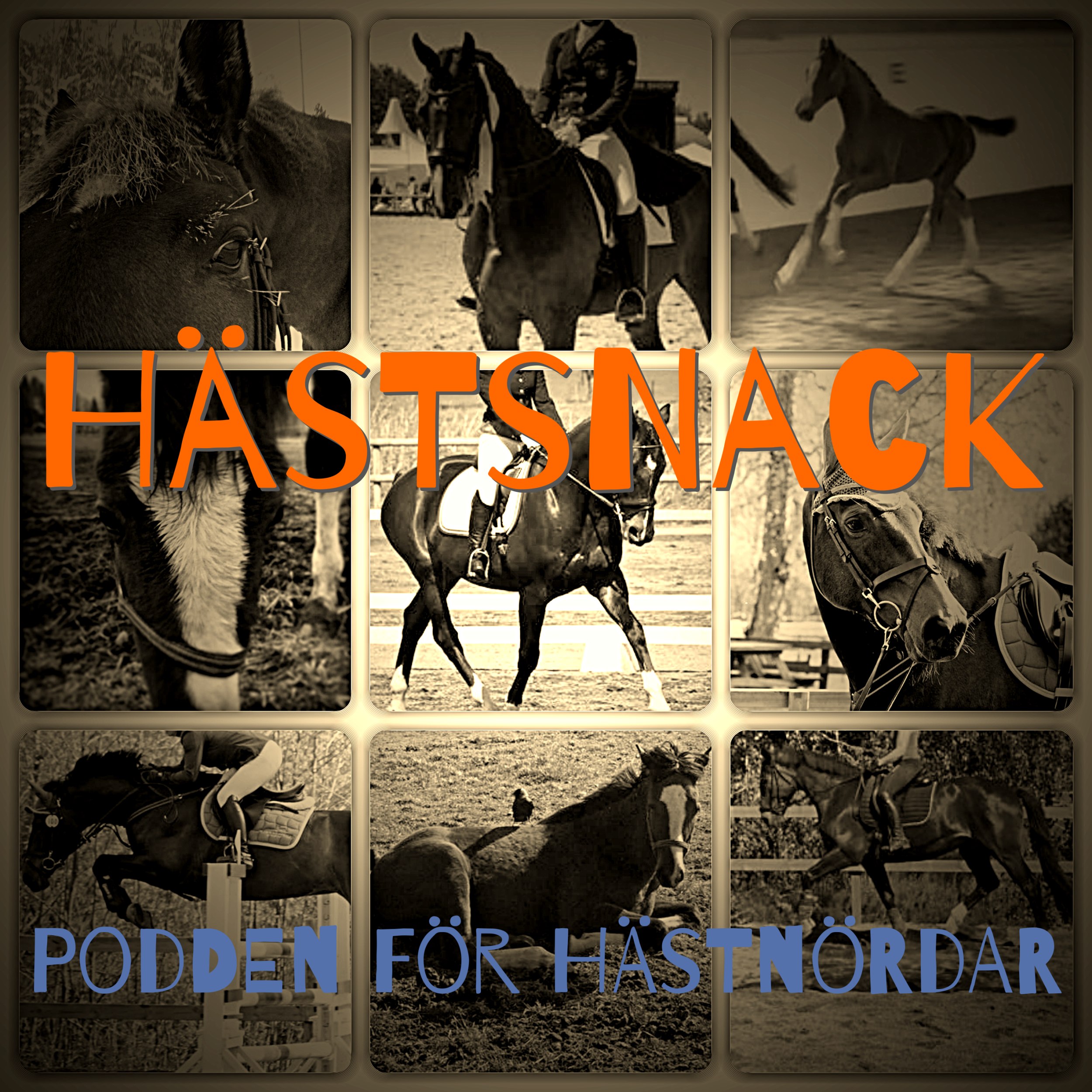Hästsnack