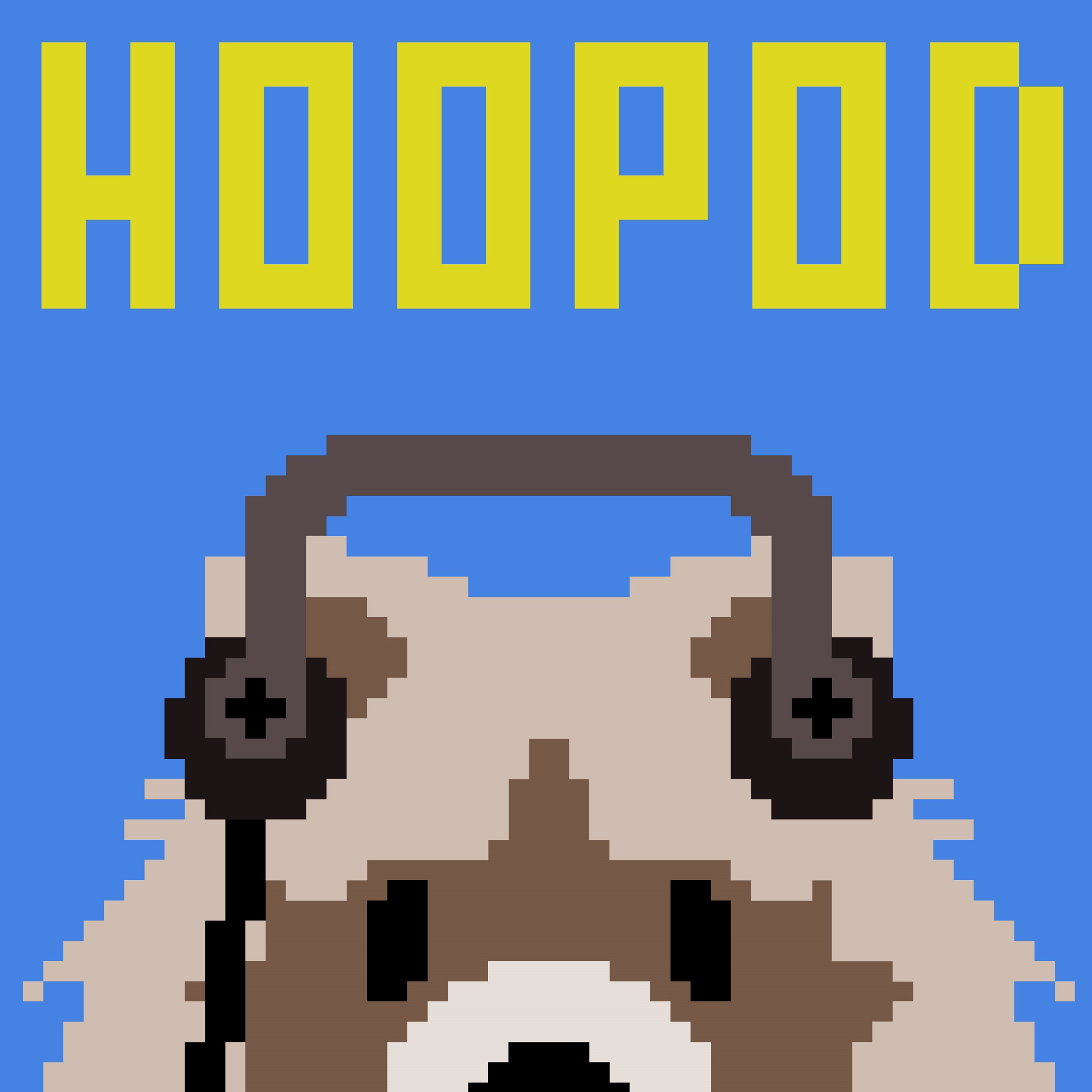 HooPod
