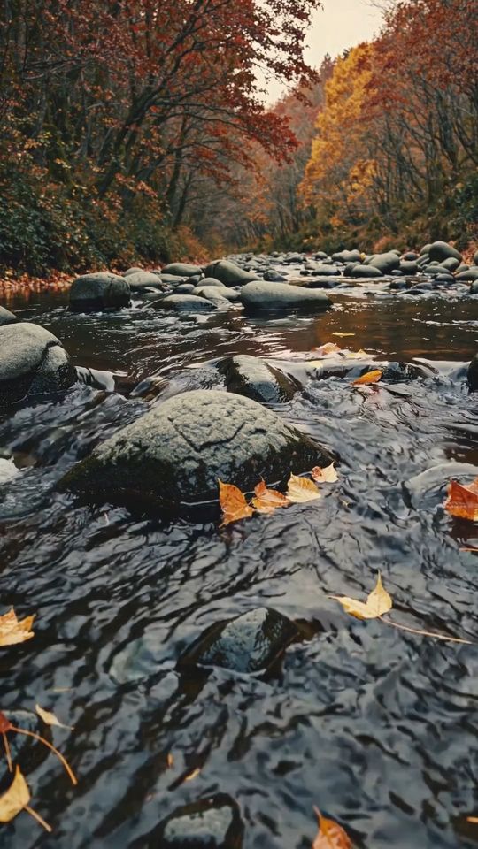 Autumn Creek