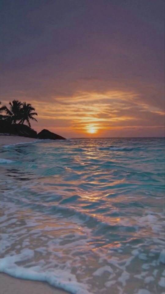 Ocean Whisper