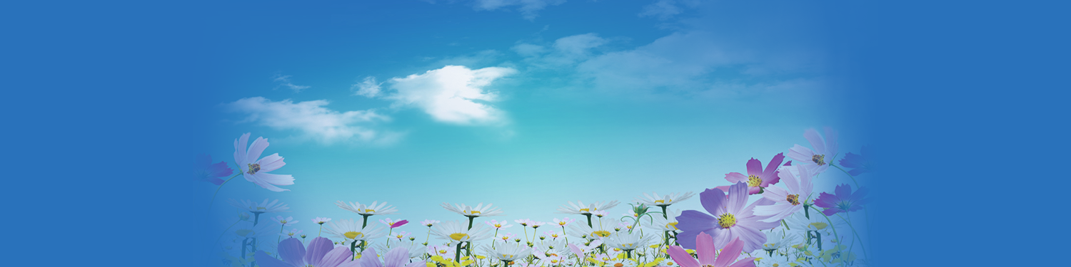 switchyjp header image